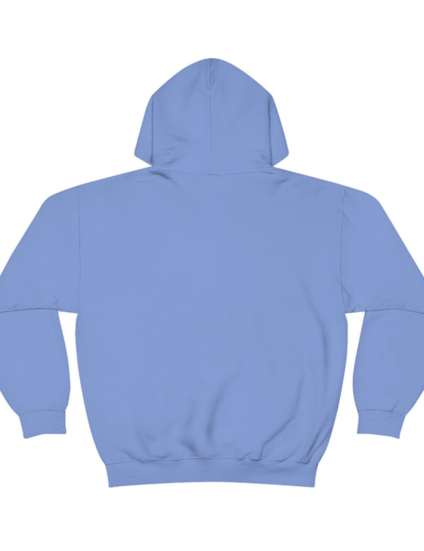 Wiener Dog or Dachshund Hoodie - Unisex Heavy Blend™ Hooded Sweatshirt